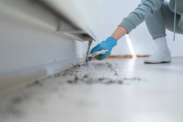 Best Best Pest Control Companies  in Eaton, IN